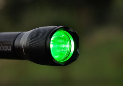 Wild-Finder Lampe Maxenon mit CREE LED  - grn