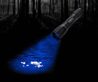 Schweifinder Lampe Maxx 3 SET CREE  LED blau