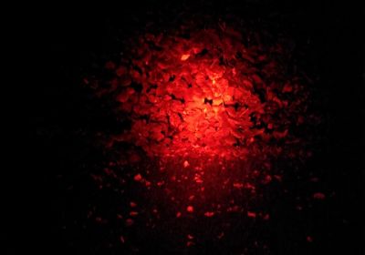 Wildfinder Filterglas Farbe rot fr Maxx 5 LED Power Lampe