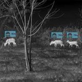 CYCLOPS 350 V.2 THERMTEC-HD-Monokular W�rmebildger�t Art.Nr.2022350