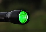 Wild-Finder Lampe Maxenon mit CREE LED  - gr�n