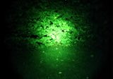 Wildfinder Filterglas Farbe gr�n f�r Maxx 5 LED Power Lampe bis