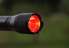 Wild-Finder Lampe Maxenon CREE LED  - rot